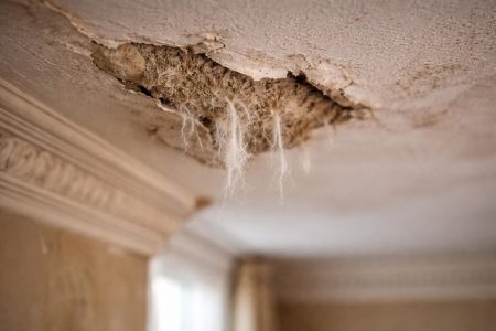 plafond-amiante-maison-ancienne-moulures